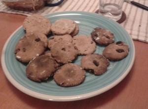 Galletitas de algarrobo con pasas